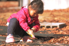 季節外れの種まき