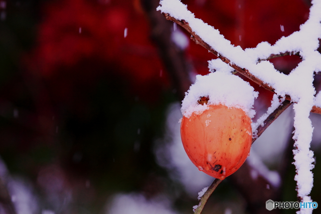 雪帽子