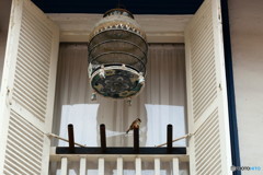 かごの外のジョニー