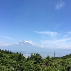 富士山みえた