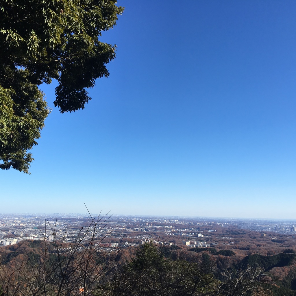 左に筑波山 右にスカイツリー 見えるかな？