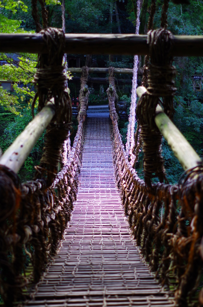 祖谷のかずら橋