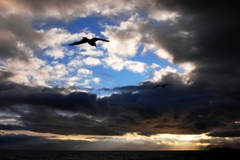 光を求めて・・・・