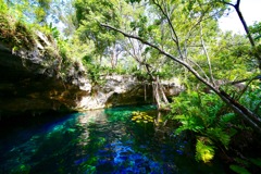 Grand Cenote
