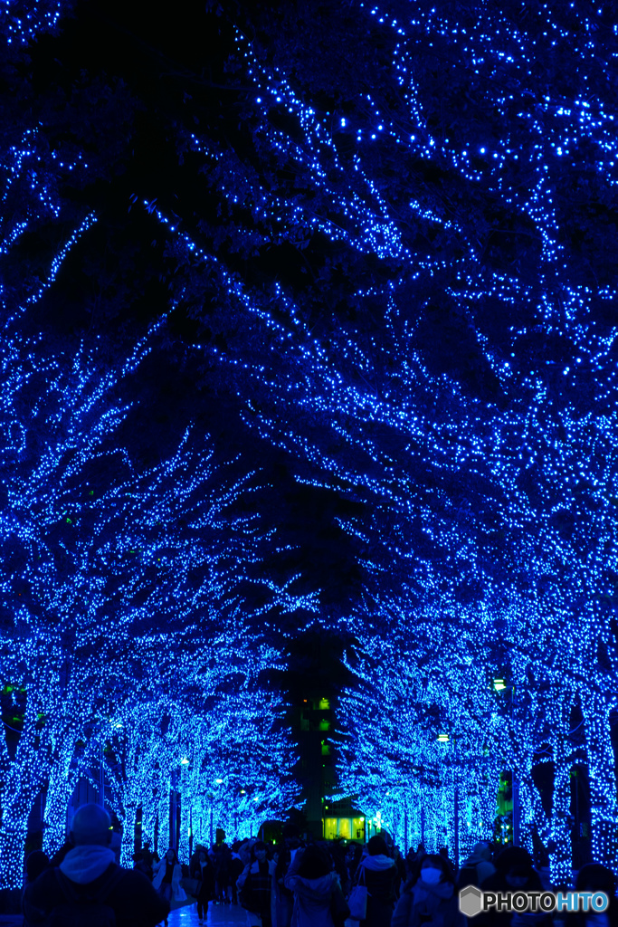 渋谷イルミネーション　青の洞窟