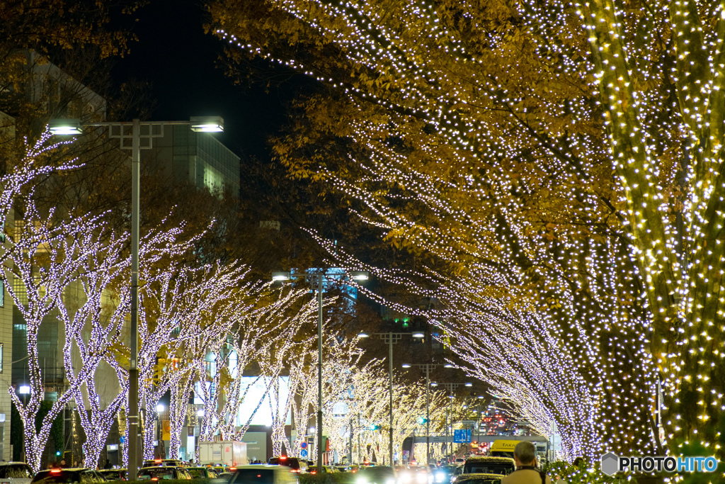 表参道の夜景