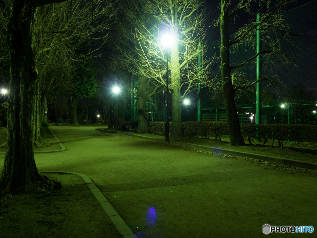 羽根木公園の夜景