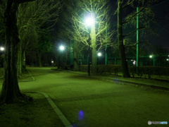 羽根木公園の夜景