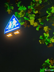 秋と道路標識と