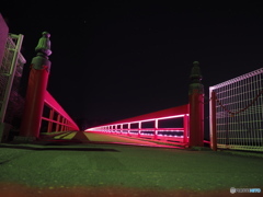 松島　福浦橋のライトアップ