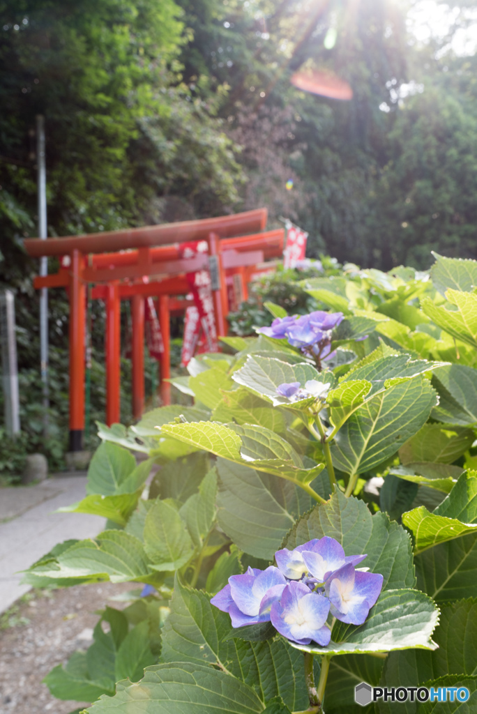 佐助稲荷