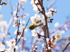 こっちの方がおいしいかも！