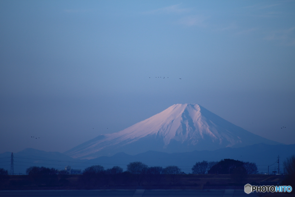FUJI
