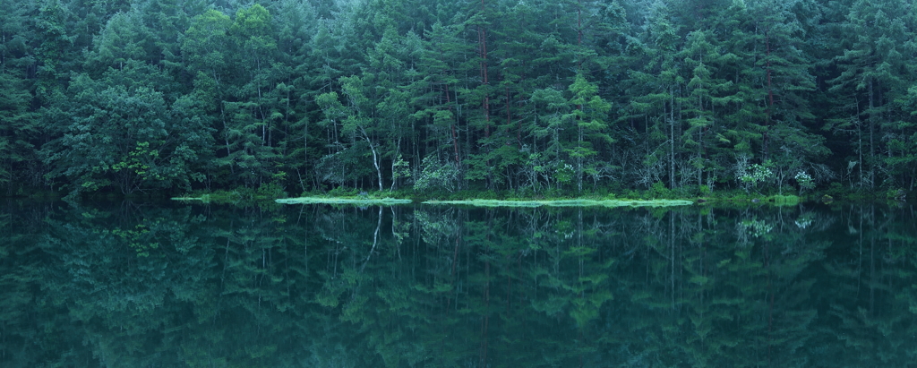 parallel world