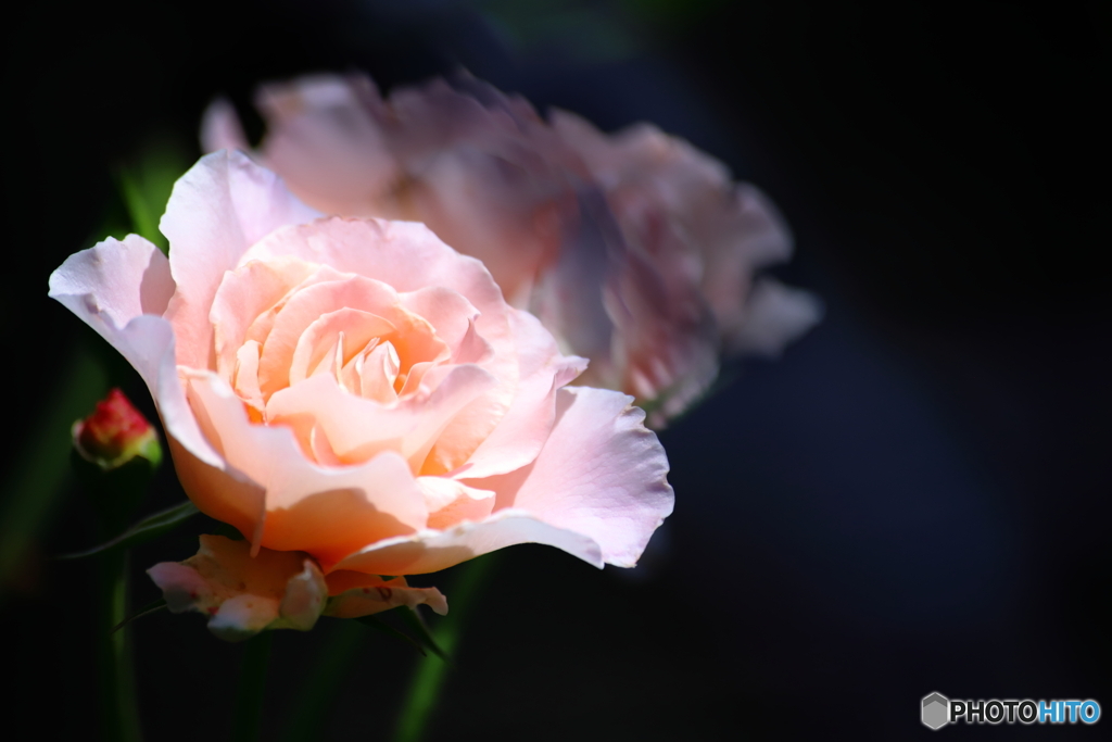 Rococo.