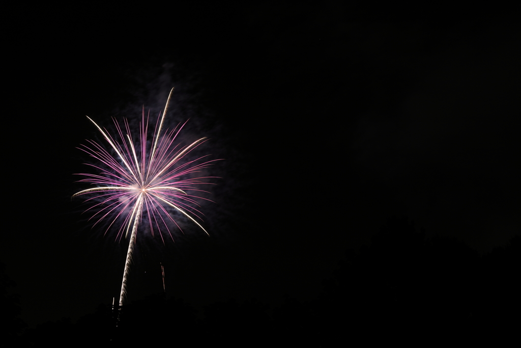 HANABI 01