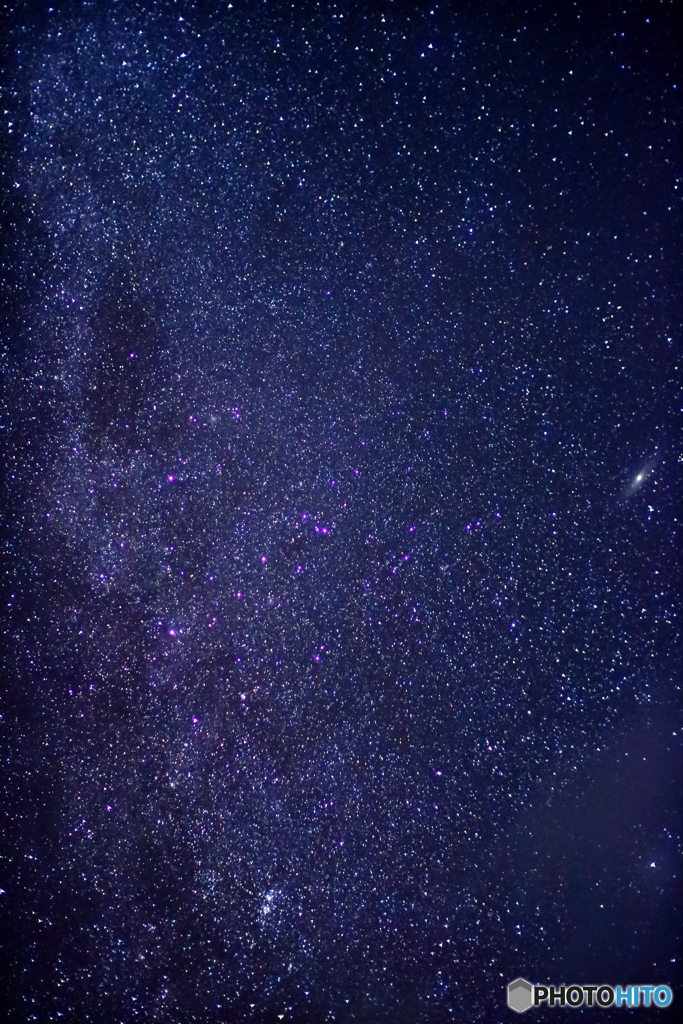 DPP_0834