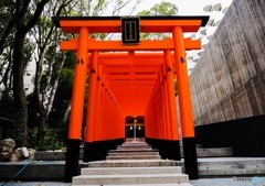 生田神社