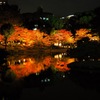紅葉のライトアップ