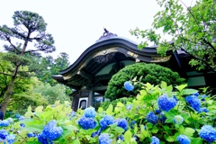 雲昌寺