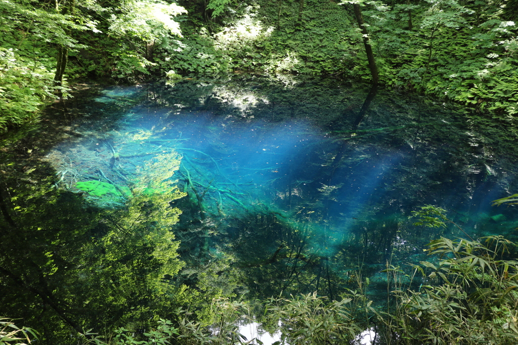 青池