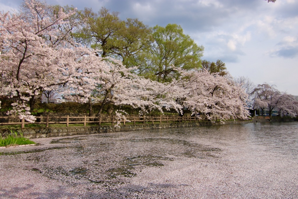 猿賀公園