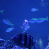 すみだ水族館01