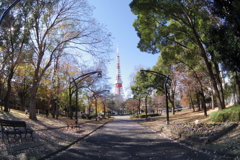 東京タワーさんのある風景