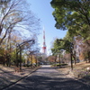 東京タワーさんのある風景
