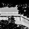P8061652