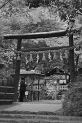 野宮神社