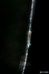 Edge_S