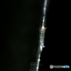 Edge_S