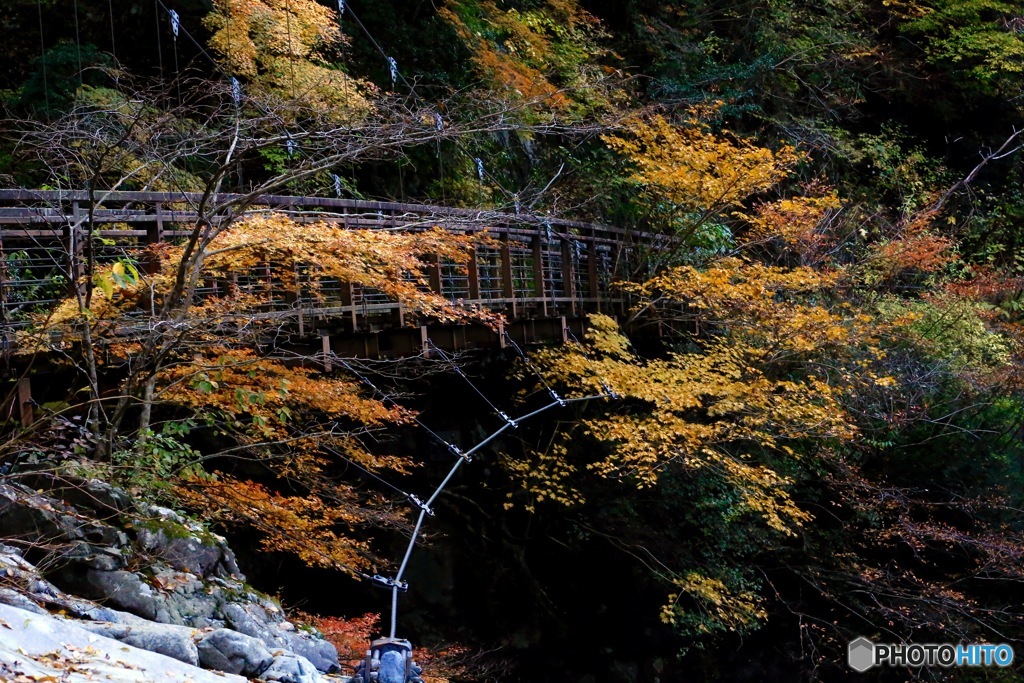 紅葉橋