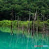 Lake Blue