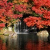 紅・陽・滝