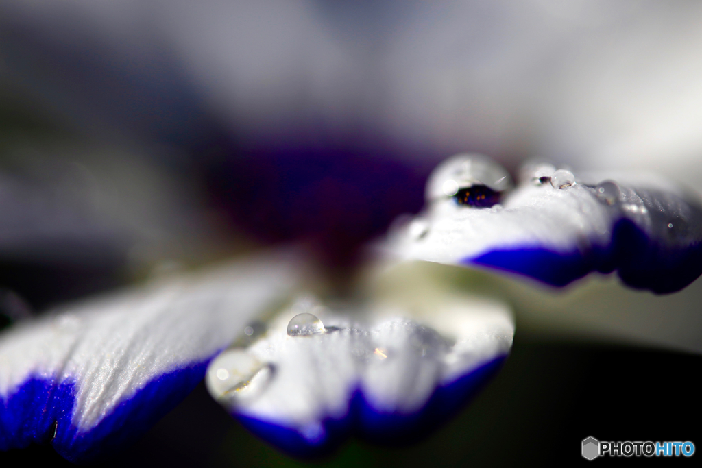 Virtual Image
