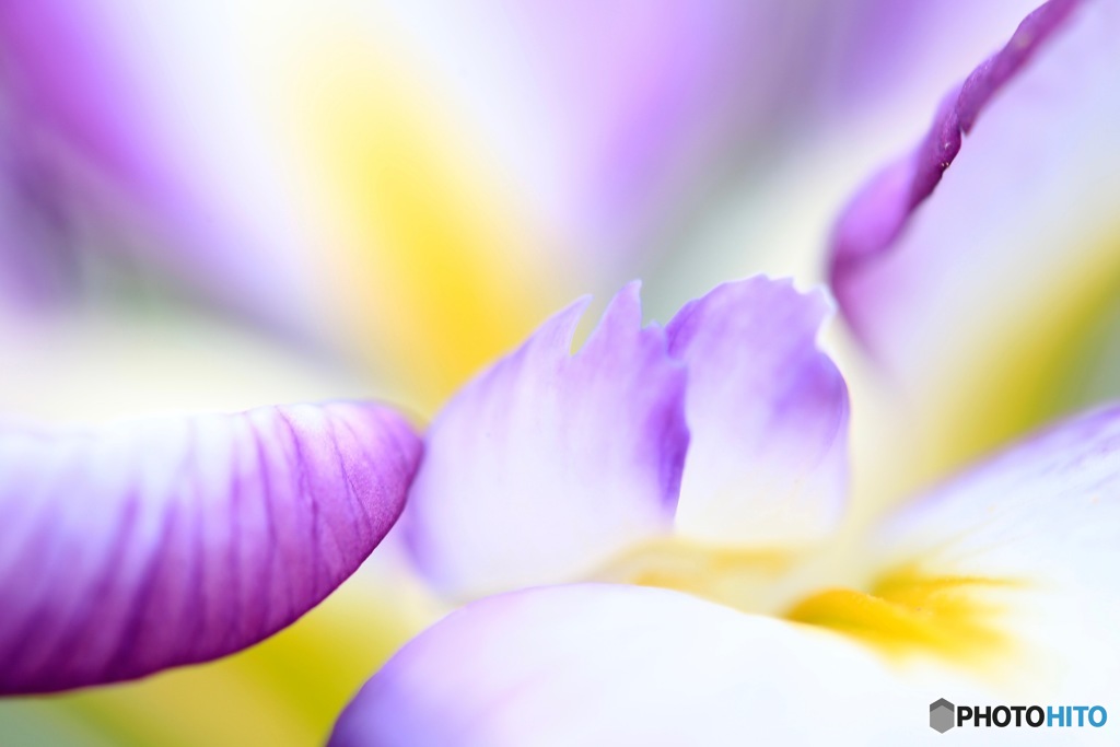 Pastel Colour