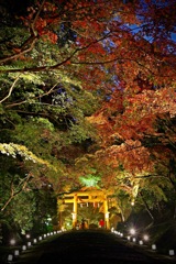 紅葉の滑走路