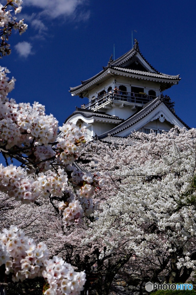 空・城・桜
