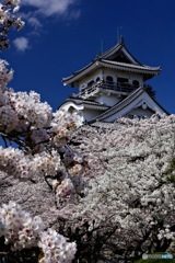 空・城・桜