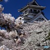 空・城・桜