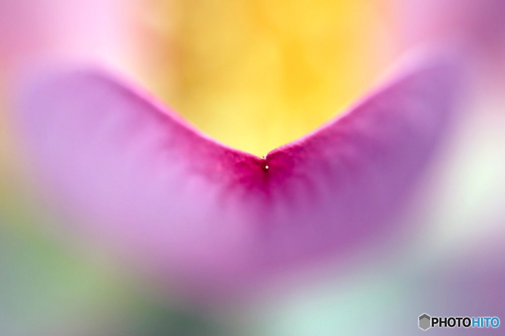 Pinhole