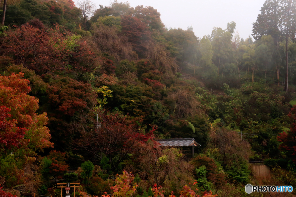 山寺の秋