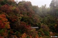 山寺の秋