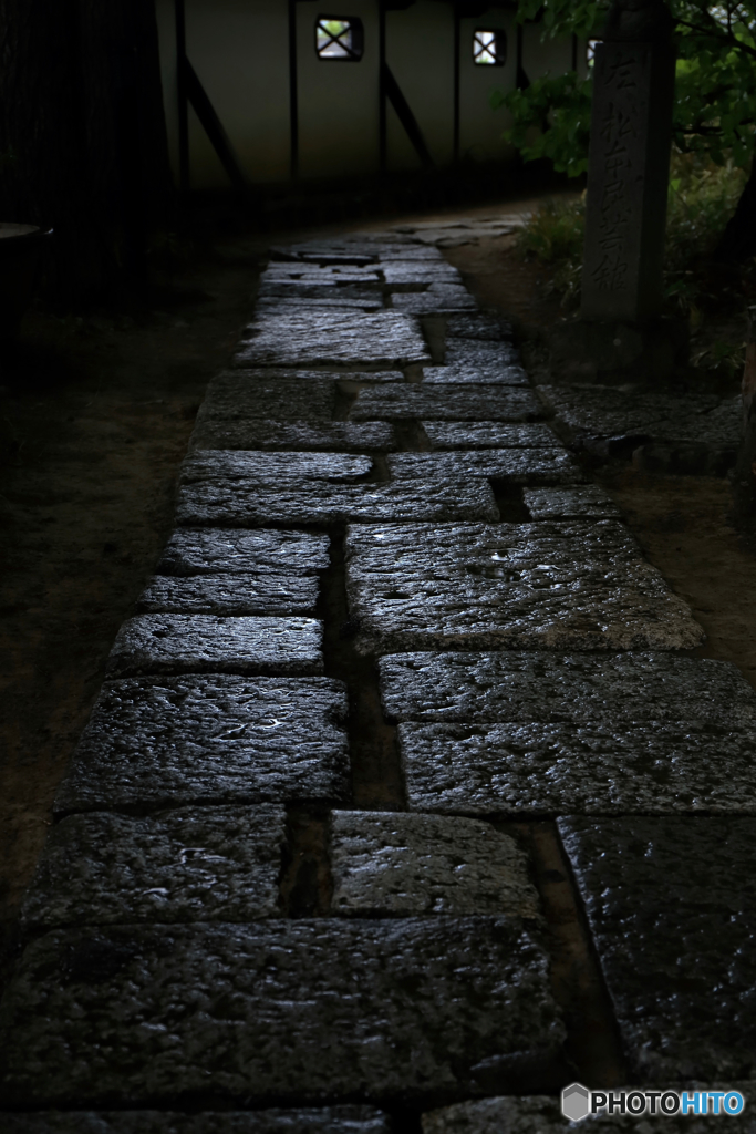 雨に輝く