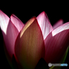 華麗2