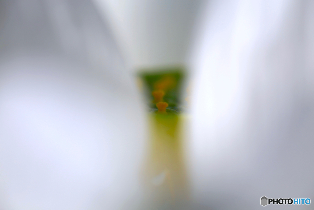 Secret
