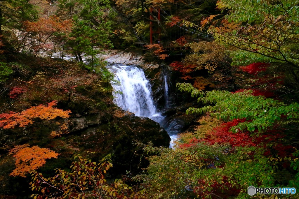 Harmony in Autumn