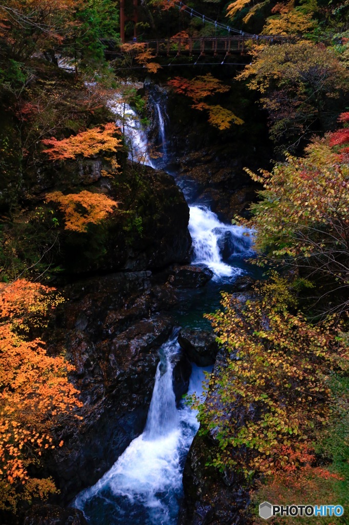 白濁流の紅葉渓谷